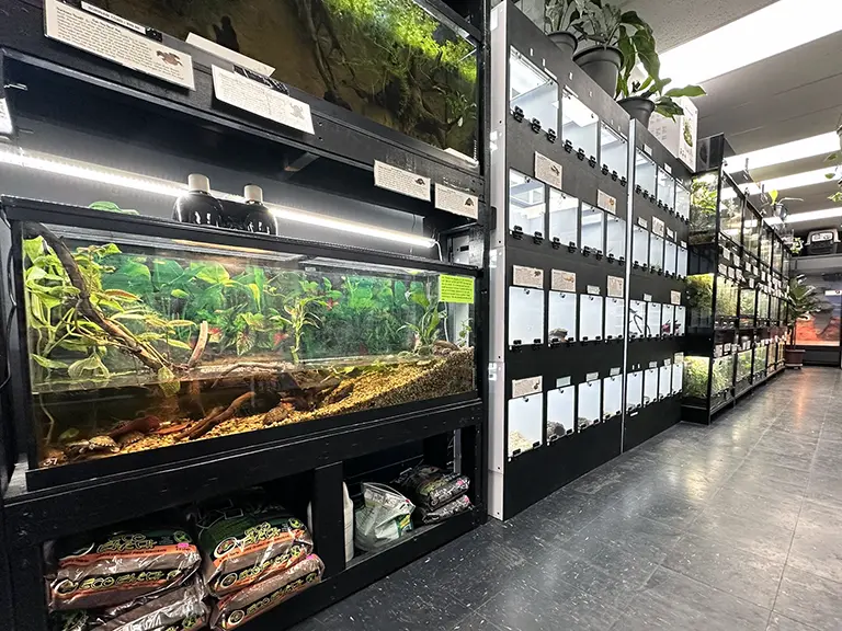 Best pet store for fish best sale